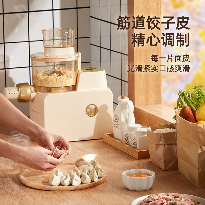 Máquina eléctrica automática para hacer fideos, extrusora casera, fabricante de fideos y pasta ramen